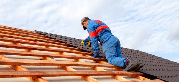 Best Sheet Metal Roofing  in Estherville, IA