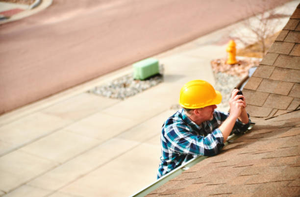 Best Roof Insulation Installation  in Estherville, IA